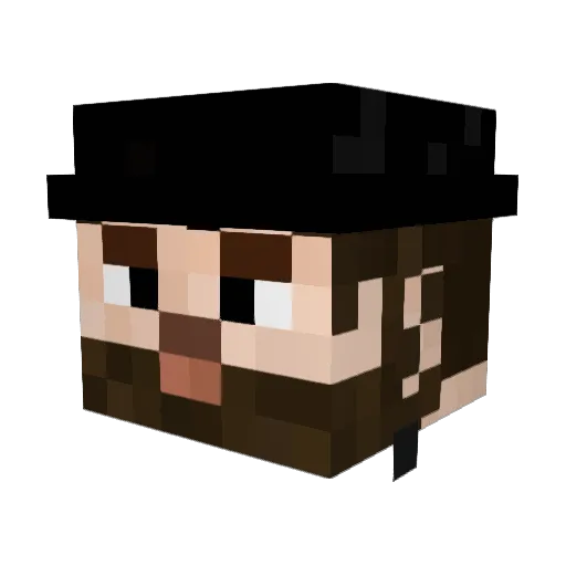 Coopercat2011 Minecraft avatar head, 3D render