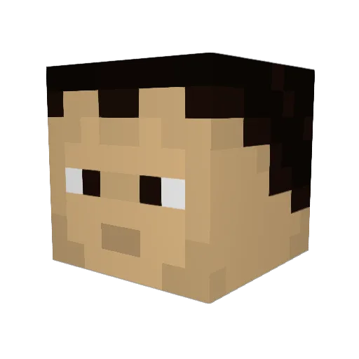 Coops0789 Minecraft avatar head, 3D render