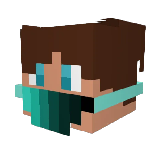 Coopstir123 Minecraft avatar head, 3D render