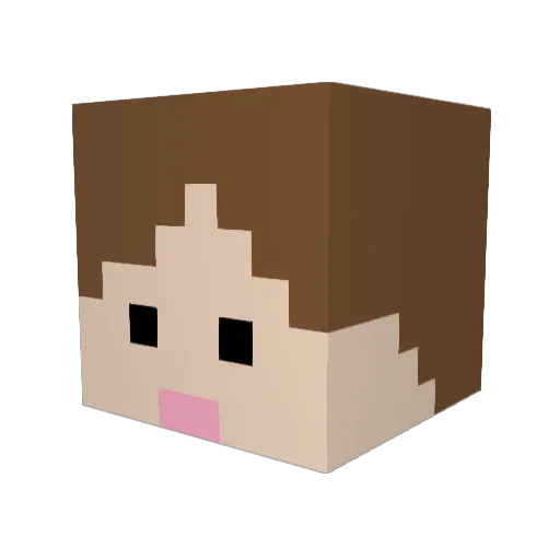 CoopsyBoopsy Minecraft avatar head, 3D render