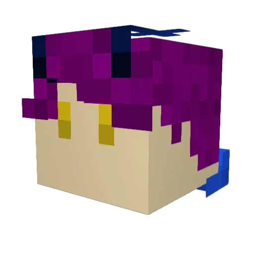 Cooryn Minecraft avatar head, 3D render