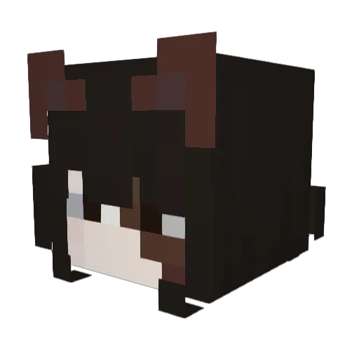 Minecraft-Avatar von Coosan_w: Kopf als 3D-Render
