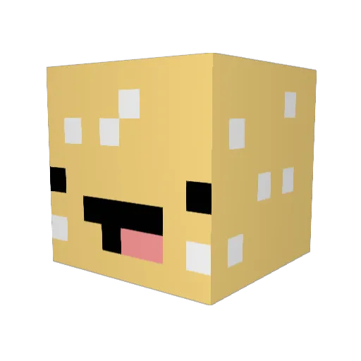 CooterCopper Minecraft avatar head, 3D render