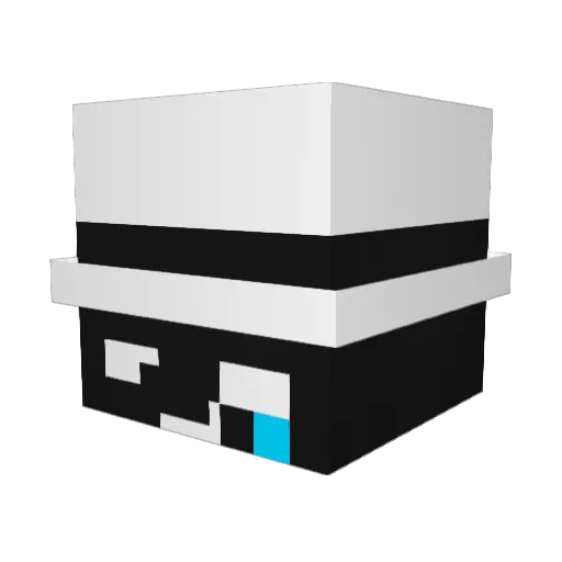 Coout_ Minecraft avatar head, 3D render