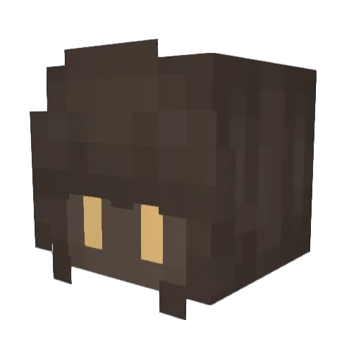 Coovedd Minecraft avatar head, 3D render