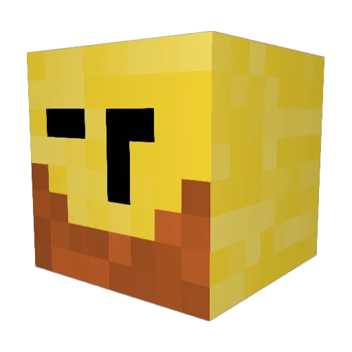 Coozi232 Minecraft avatar head, 3D render