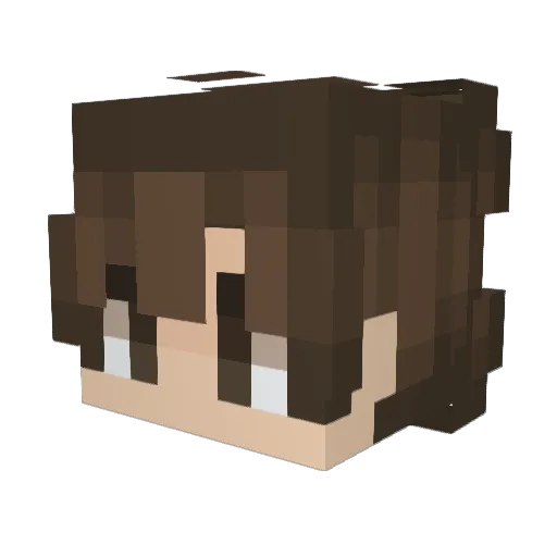 Coozy717 Minecraft avatar head, 3D render