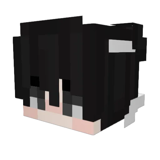 Coozzi Minecraft avatar head, 3D render