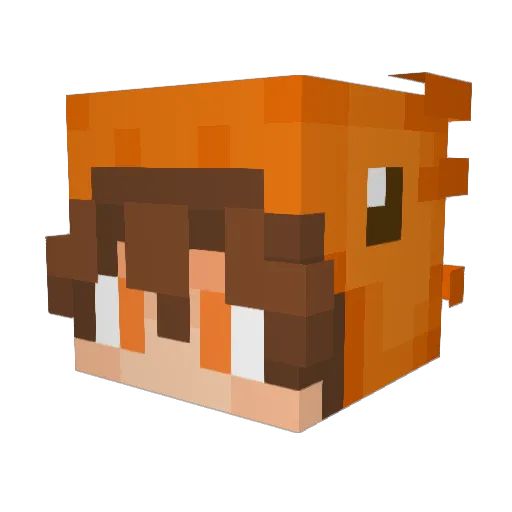Cop5 Minecraft avatar head, 3D render