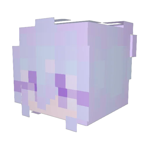 CopMeme1 Minecraft avatar head, 3D render