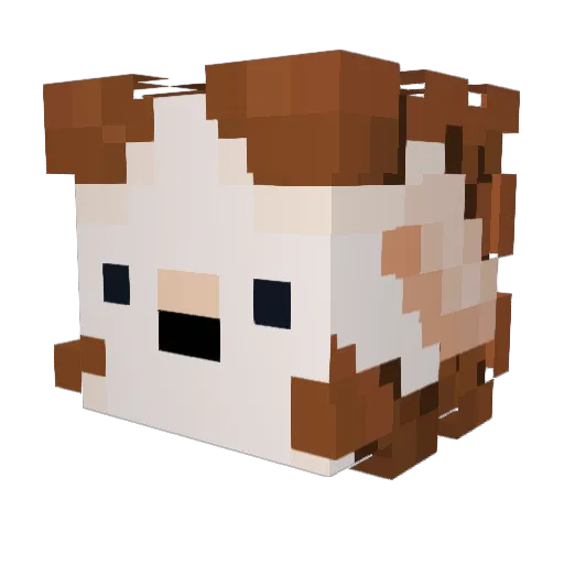 Copeva Minecraft avatar head, 3D render