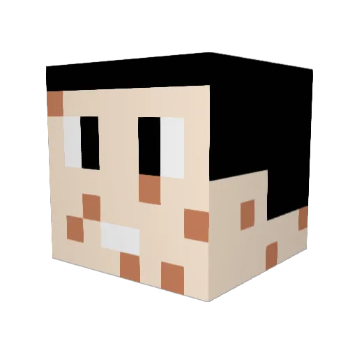 Copiloto99 Minecraft avatar head, 3D render