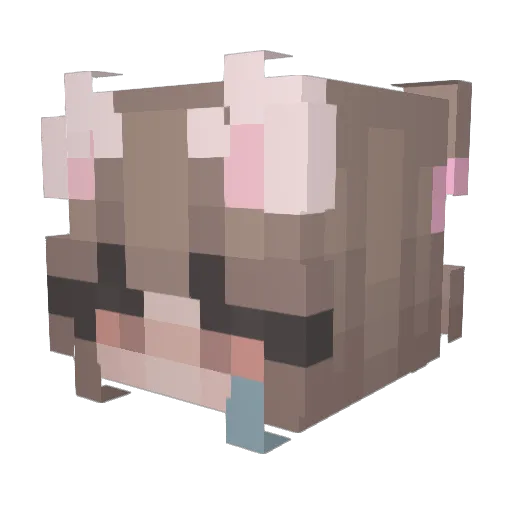 Copings Minecraft avatar head, 3D render