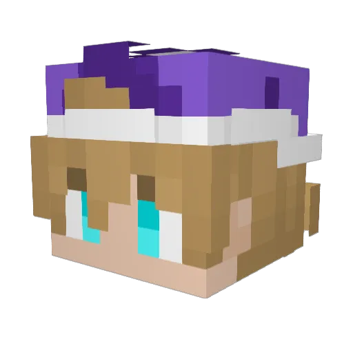 Copium_Withdraw Minecraft avatar head, 3D render