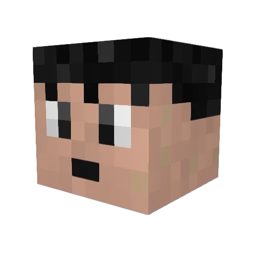 Copolococo Minecraft avatar head, 3D render