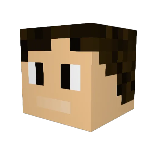 Copp3rSulfat3 Minecraft avatar head, 3D render