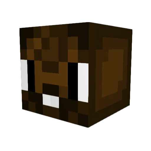 CoppaDawg Minecraft avatar head, 3D render