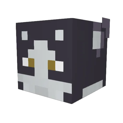 Copper9000 Minecraft avatar head, 3D render
