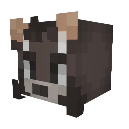 CopperBoots Minecraft avatar head, 3D render