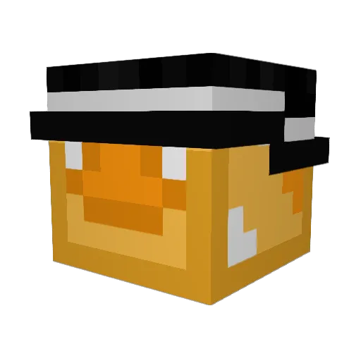 CopperCoin101 Minecraft avatar head, 3D render