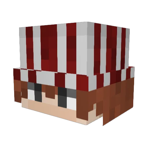 CopperNotMyself Minecraft avatar head, 3D render