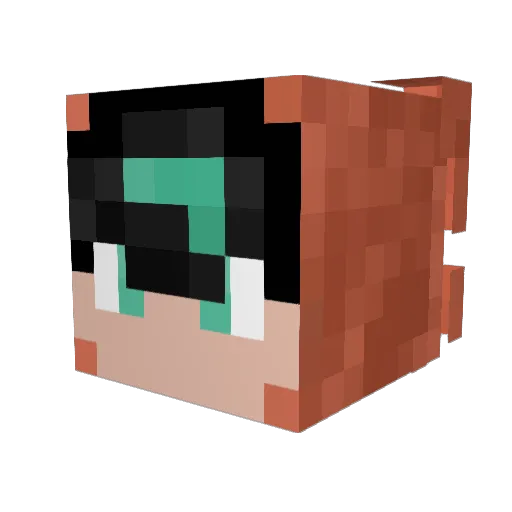 CopperReef Minecraft avatar head, 3D render