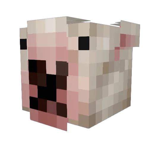 CopperSlinky7 Minecraft avatar head, 3D render