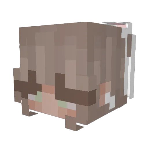 Copper_Furr Minecraft avatar head, 3D render