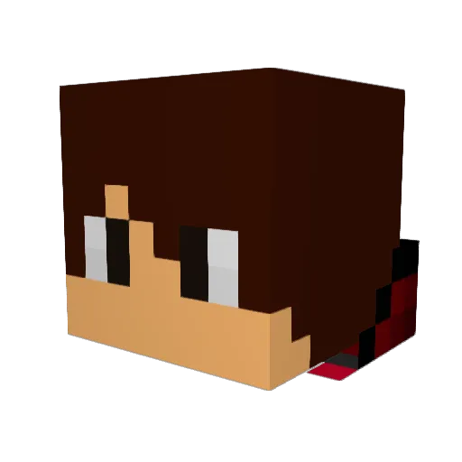 CopperandBrass9 Minecraft avatar head, 3D render