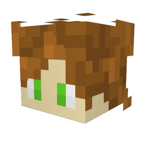 CopperedEJ Minecraft avatar head, 3D render