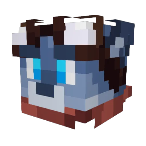 CoppyCat Minecraft avatar head, 3D render