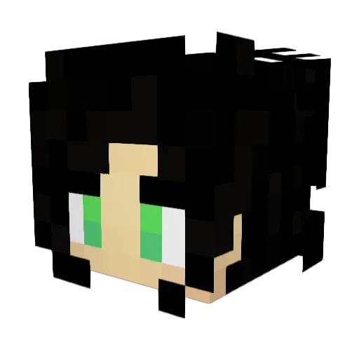 Copro357 Minecraft avatar head, 3D render