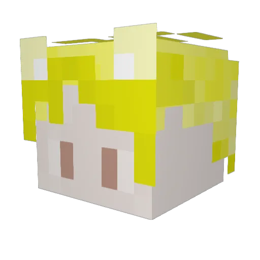 CopuJess Minecraft avatar head, 3D render
