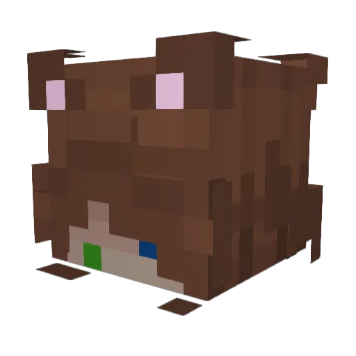 CopyCatPoz Minecraft avatar head, 3D render