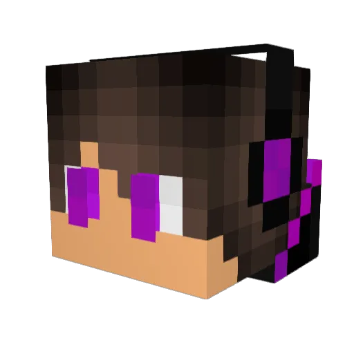 Copy_Bot Minecraft avatar head, 3D render