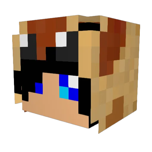 Coq Minecraft avatar head, 3D render