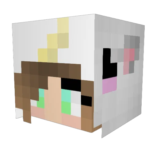 Coquelicorne Minecraft avatar head, 3D render