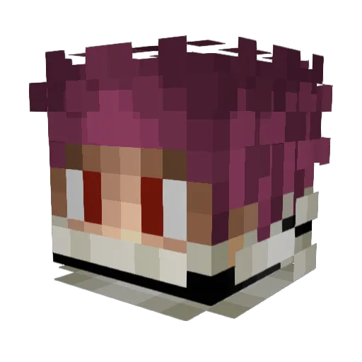 Coquido Minecraft avatar head, 3D render