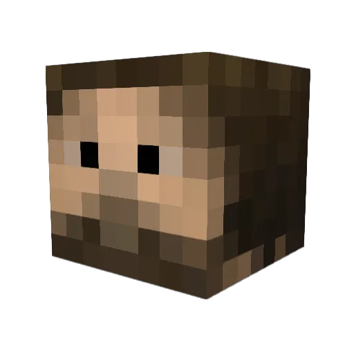 Cor3000000323 Minecraft avatar head, 3D render