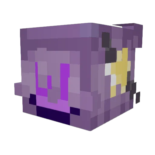 Cor4lberry Minecraft avatar head, 3D render