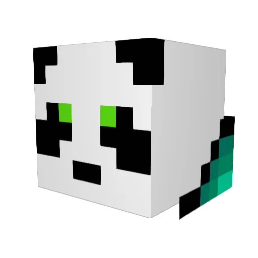 CorCor11 Minecraft avatar head, 3D render