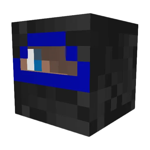 Cora_zon Minecraft avatar head, 3D render