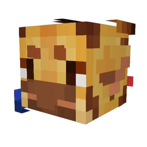 Coraffe Minecraft avatar head, 3D render