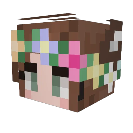 Coragamy Minecraft avatar head, 3D render