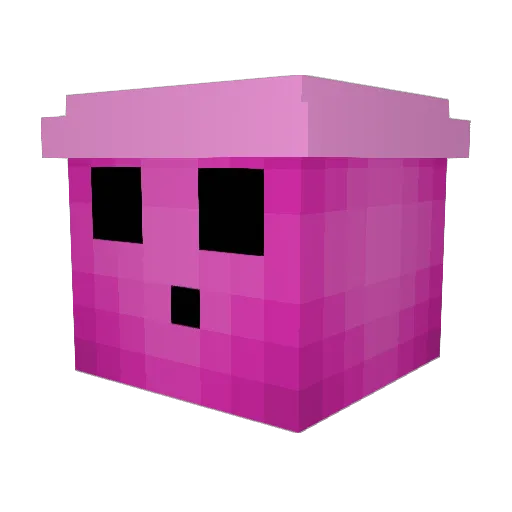 Corailoona Minecraft avatar head, 3D render
