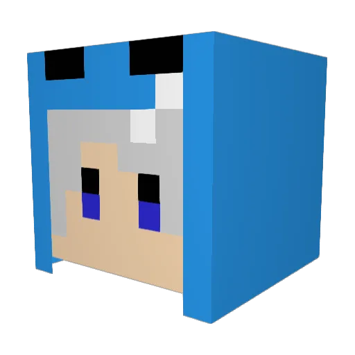 Coral501 Minecraft avatar head, 3D render
