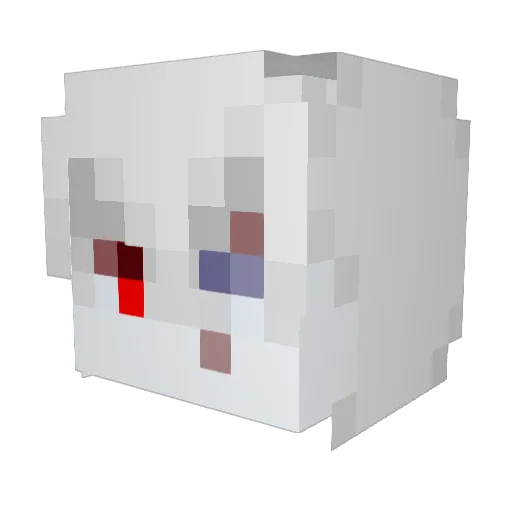 CoralCC Minecraft avatar head, 3D render