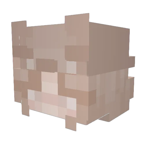 CoralQt Minecraft avatar head, 3D render