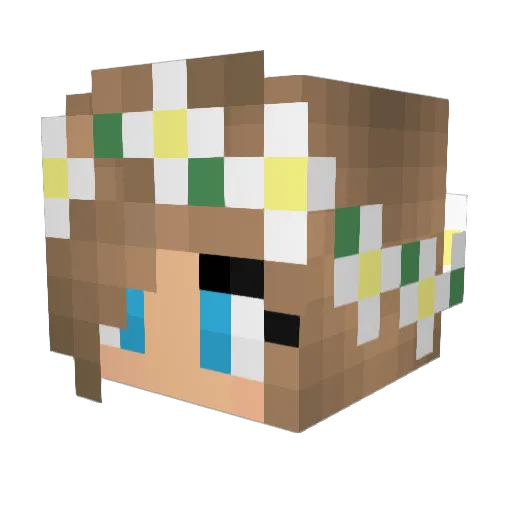 CoralShore Minecraft avatar head, 3D render