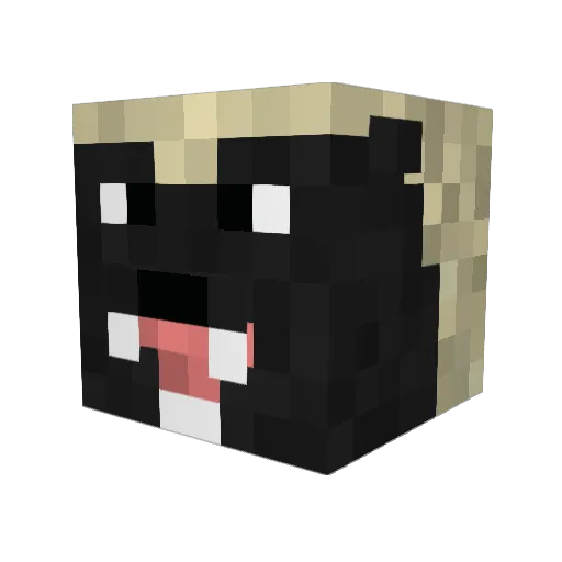 Coral_Badger Minecraft avatar head, 3D render